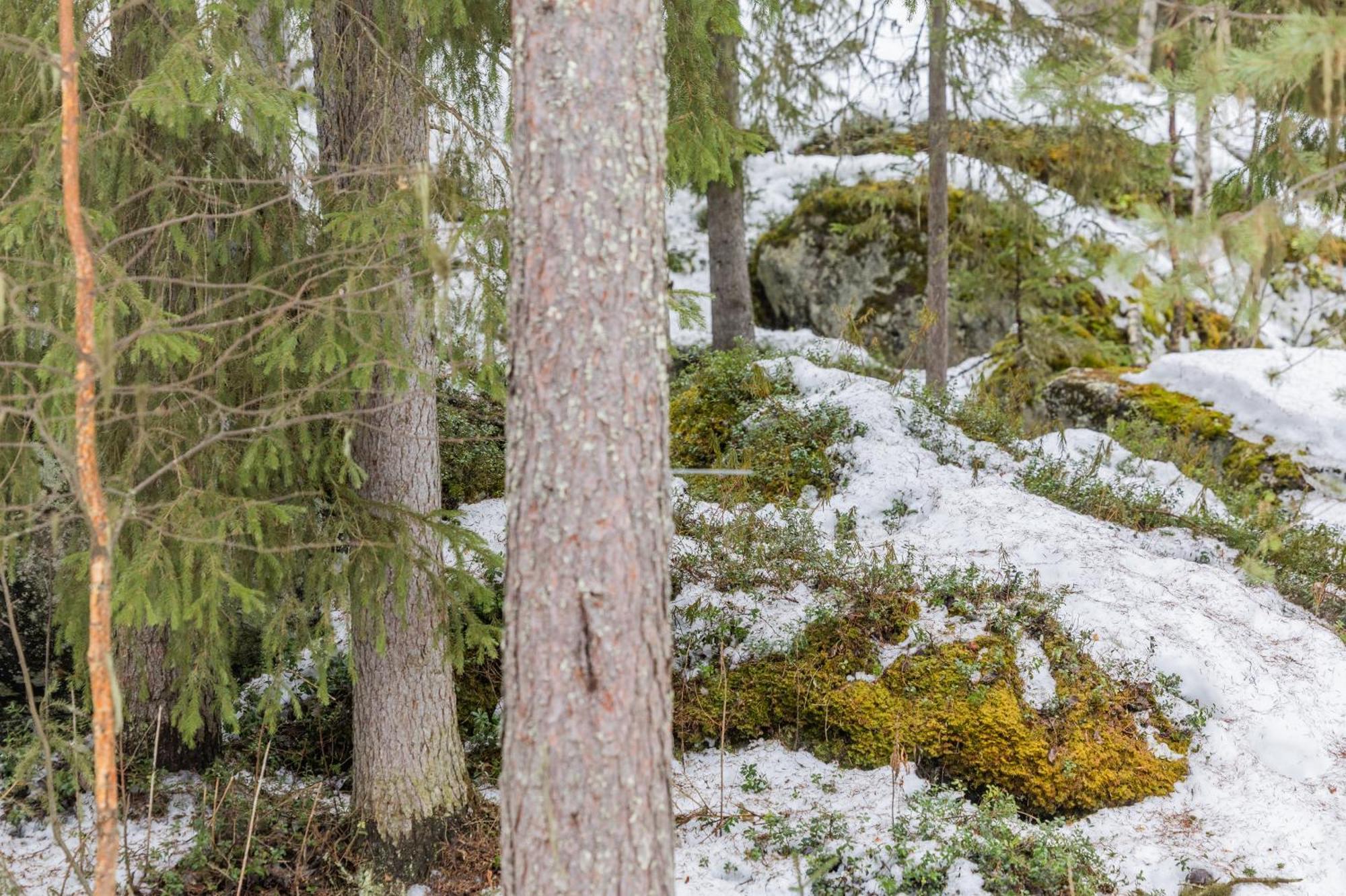 Coloria - Kotisi Rovaniemellae, Luonnollisesti Rovaniemi Exterior foto